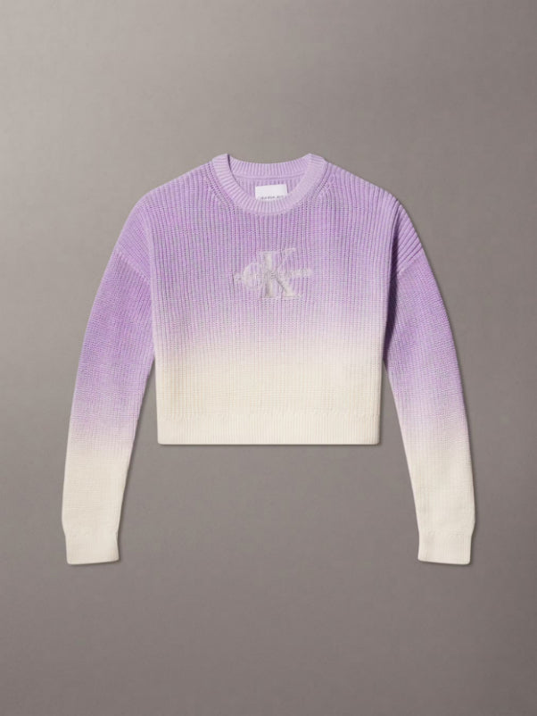 Calvin Klein Girls Relaxed Gradient Logo Jumper – O'five Egypt