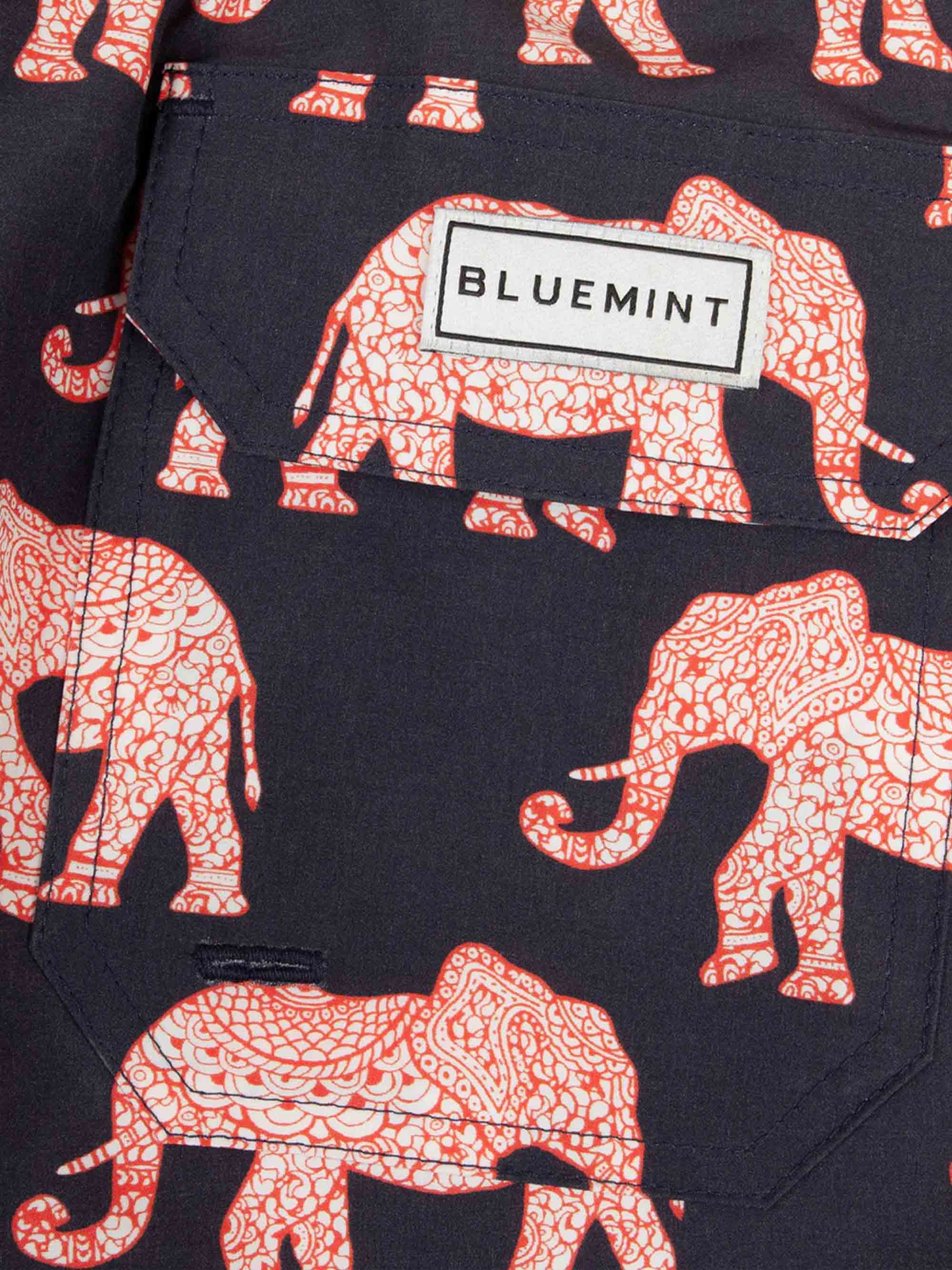 red/ navy