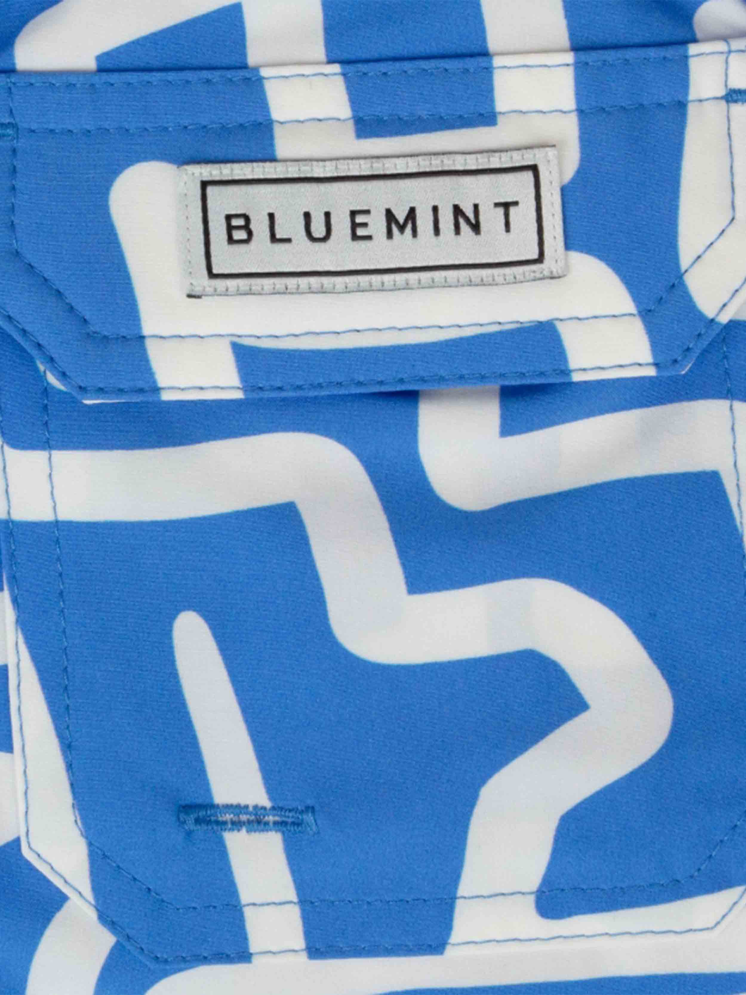 Blue/White
