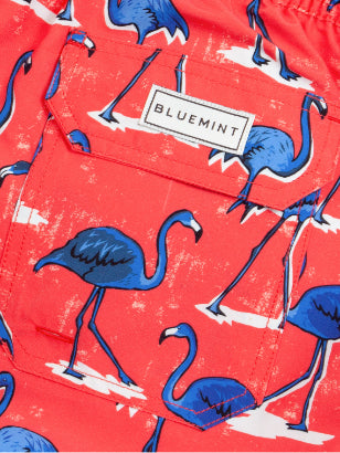 SCARLET FLAMINGO