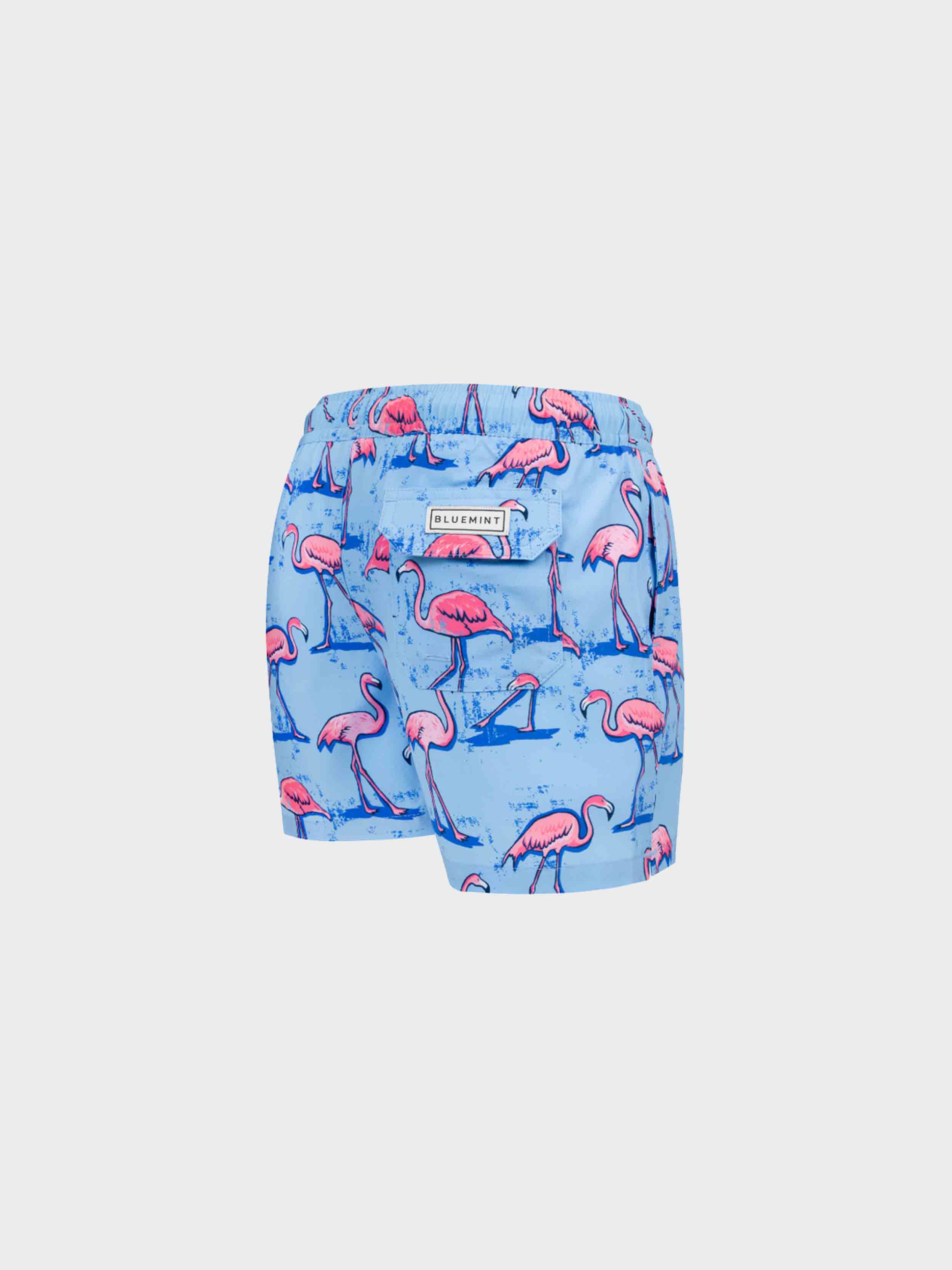 SKY BLUE FLAMINGO