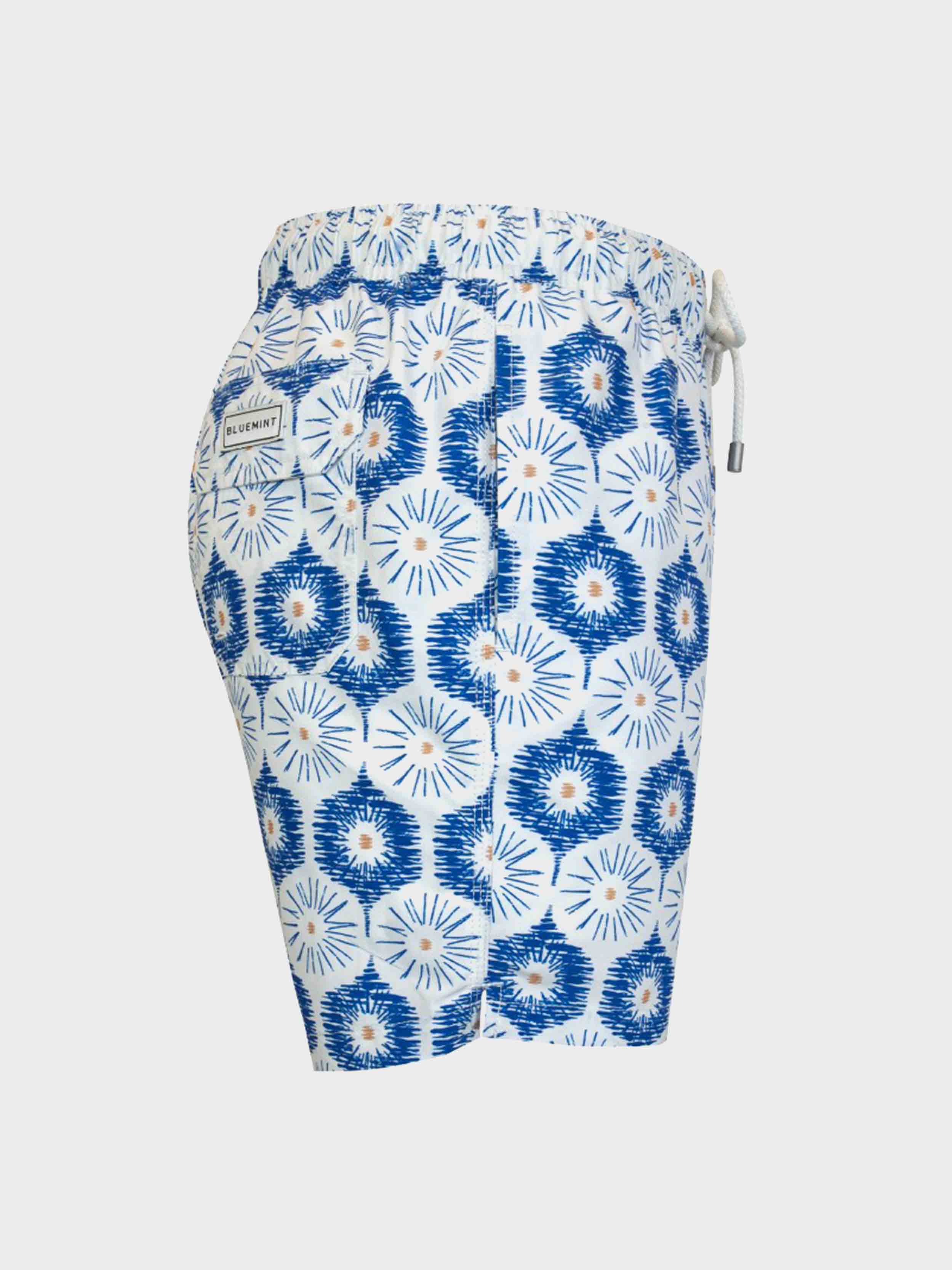 Blue / White