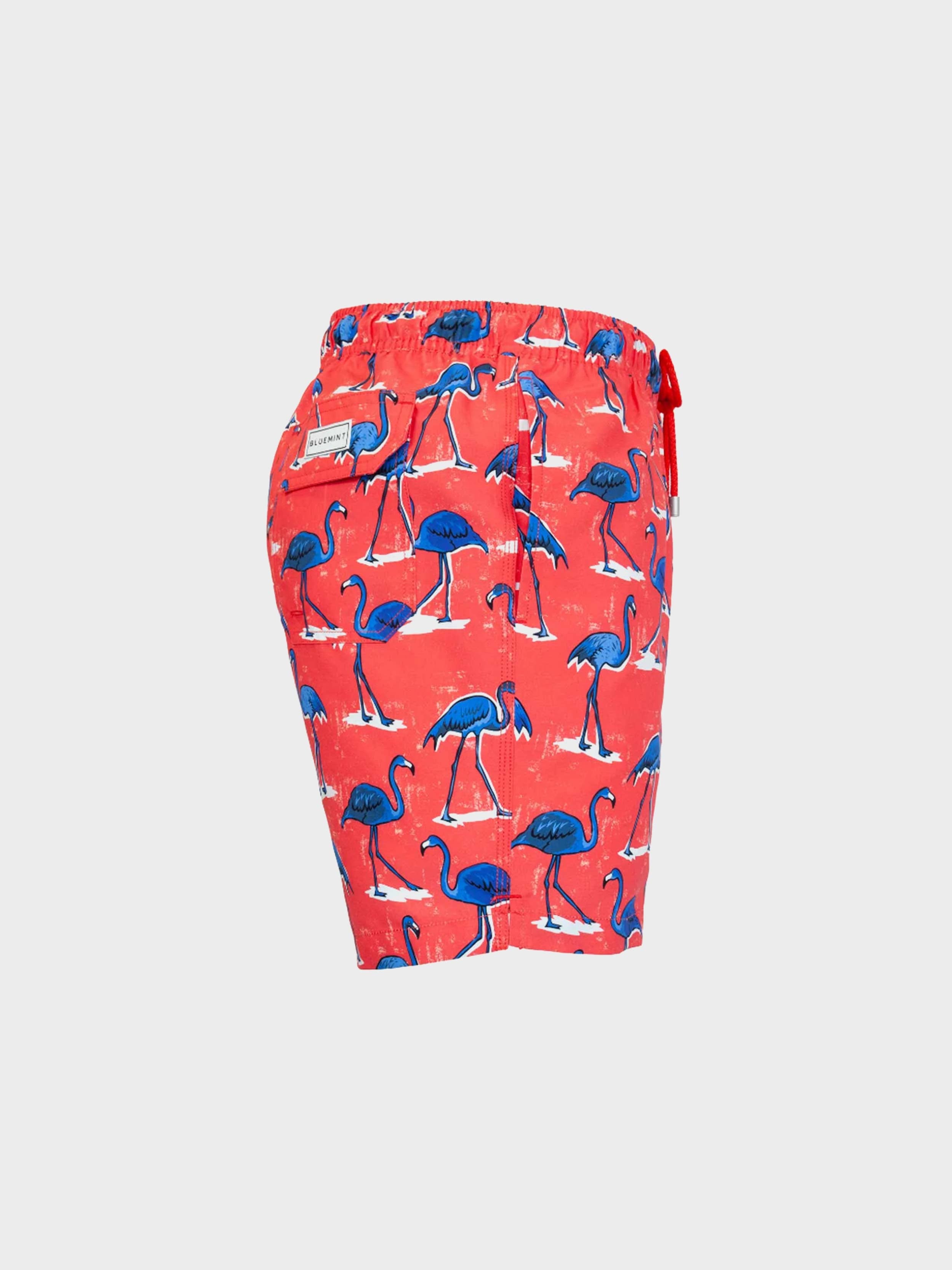 SCARLET FLAMINGO