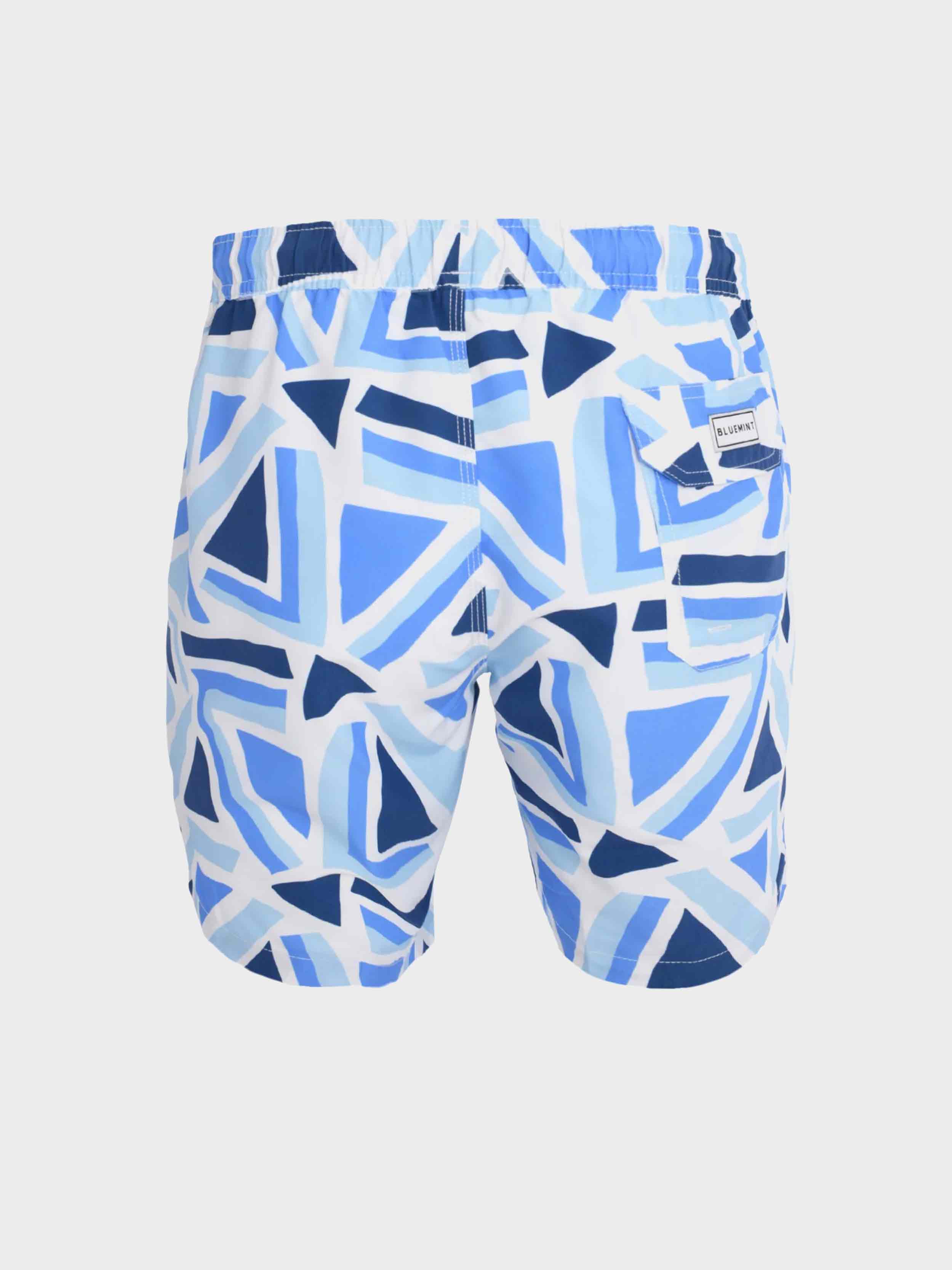 LIGHT BLUE TRIANGLE