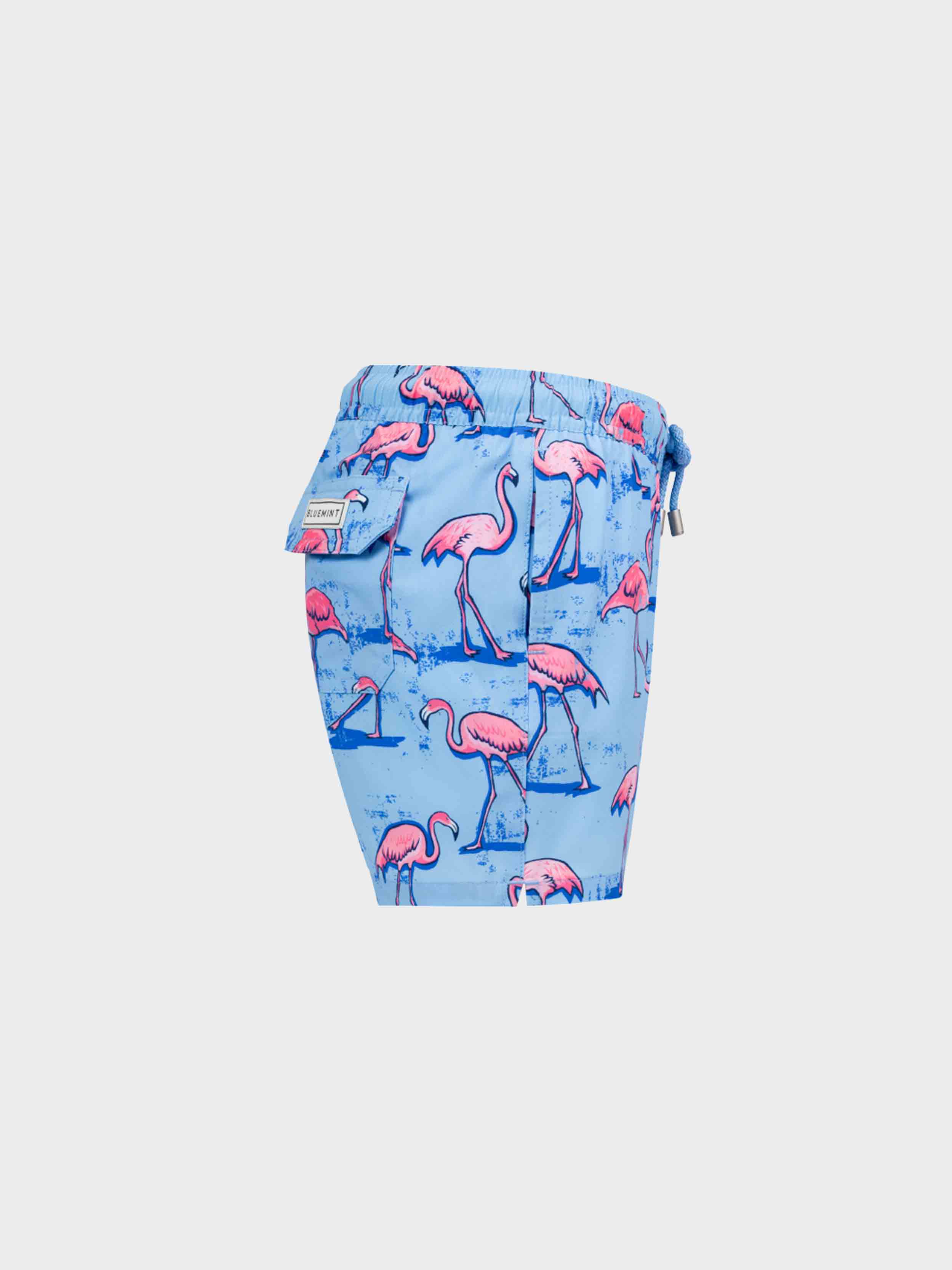 SKY BLUE FLAMINGO
