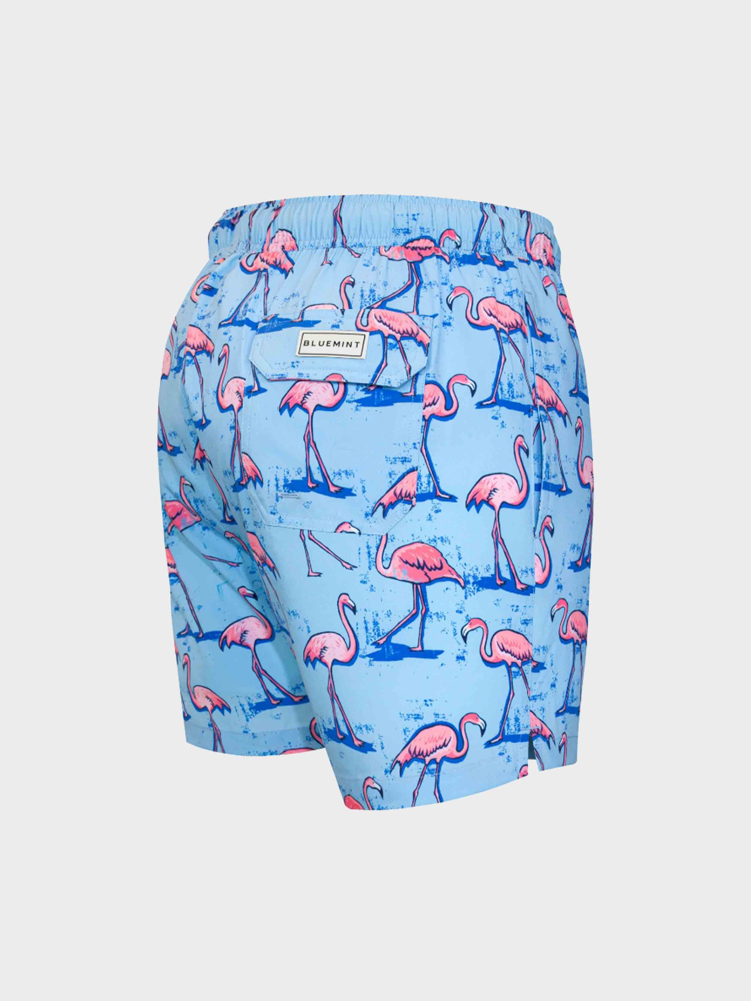 SKY BLUE FLAMINGO