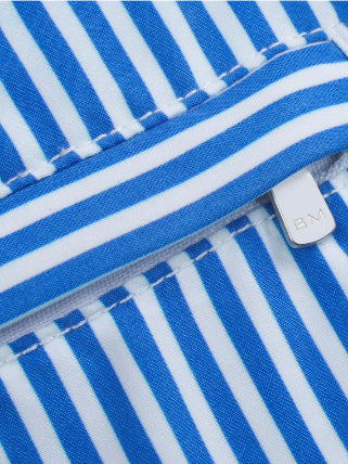 BLUE LINEAR