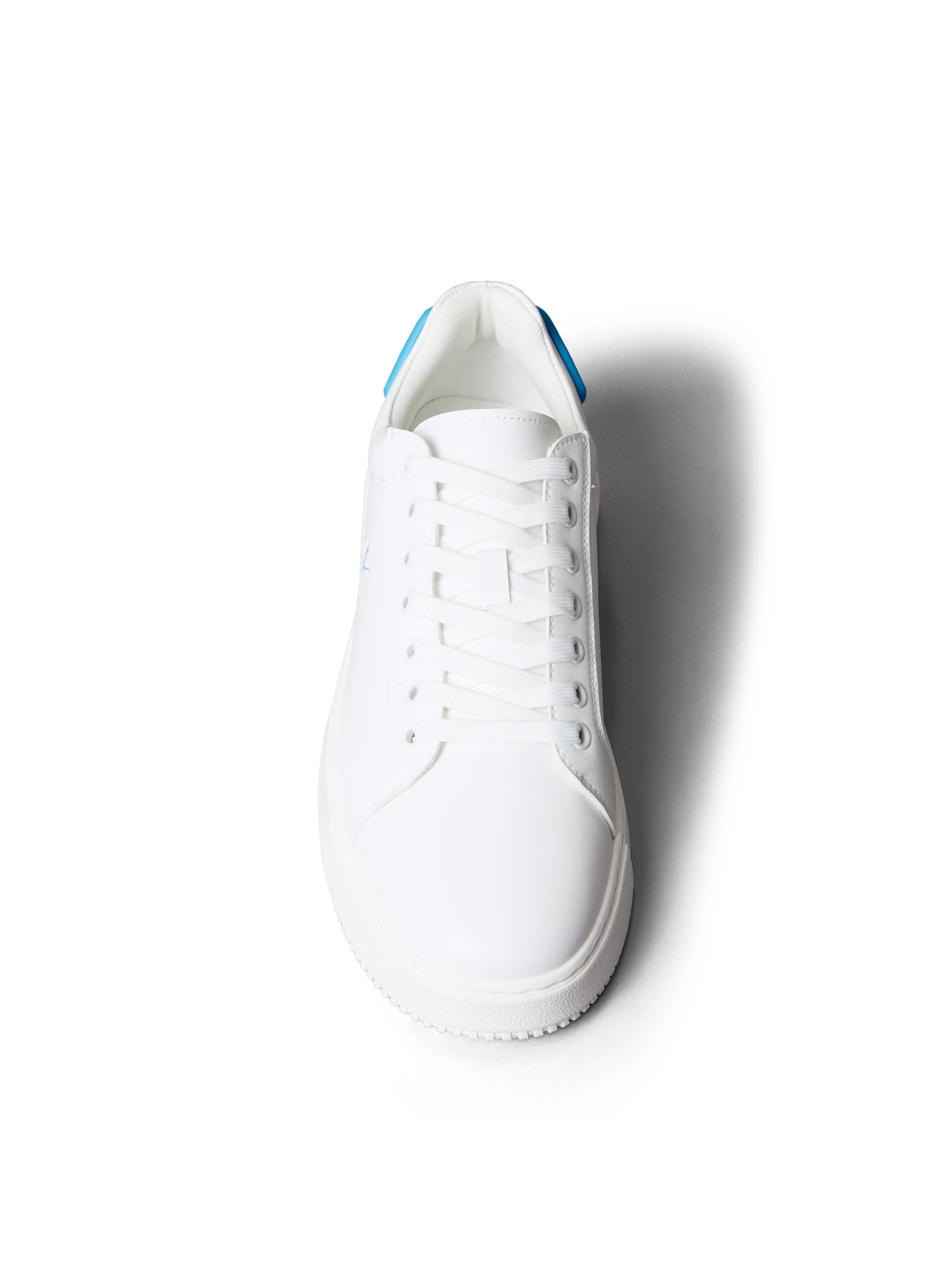 White / Blue