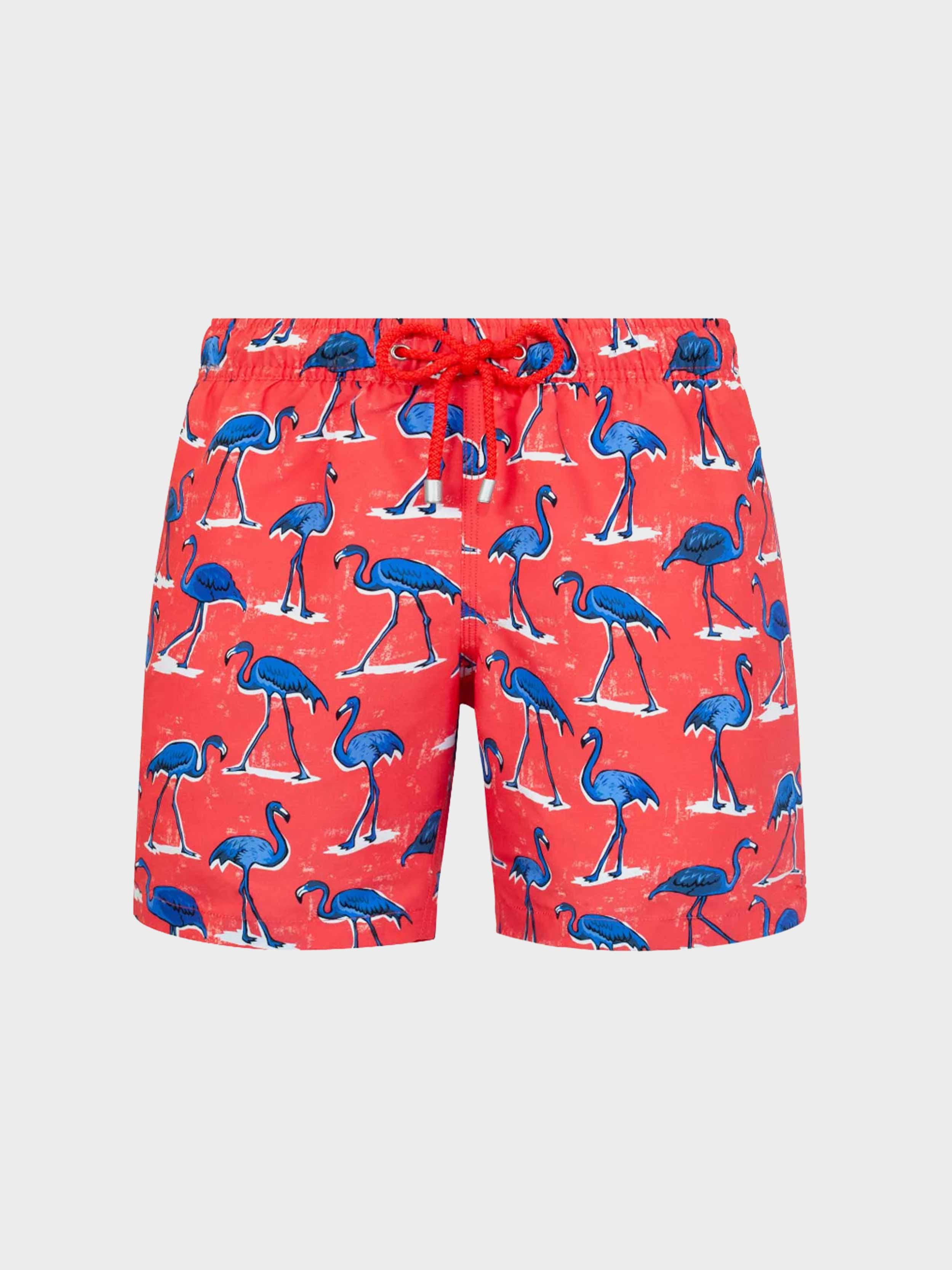 SCARLET FLAMINGO