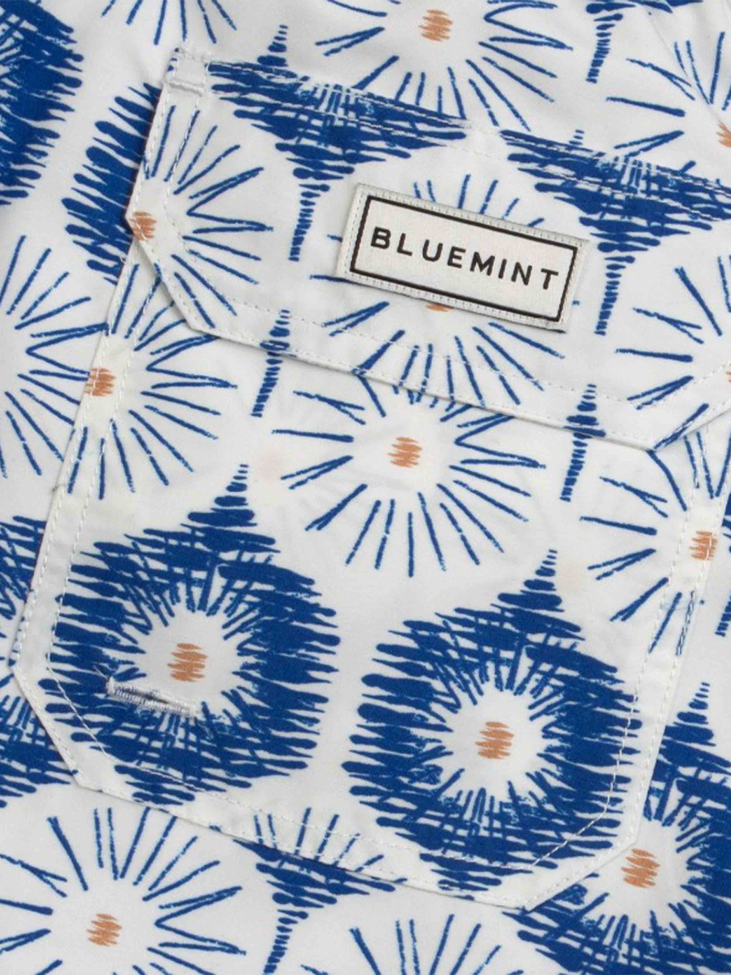 Blue / White