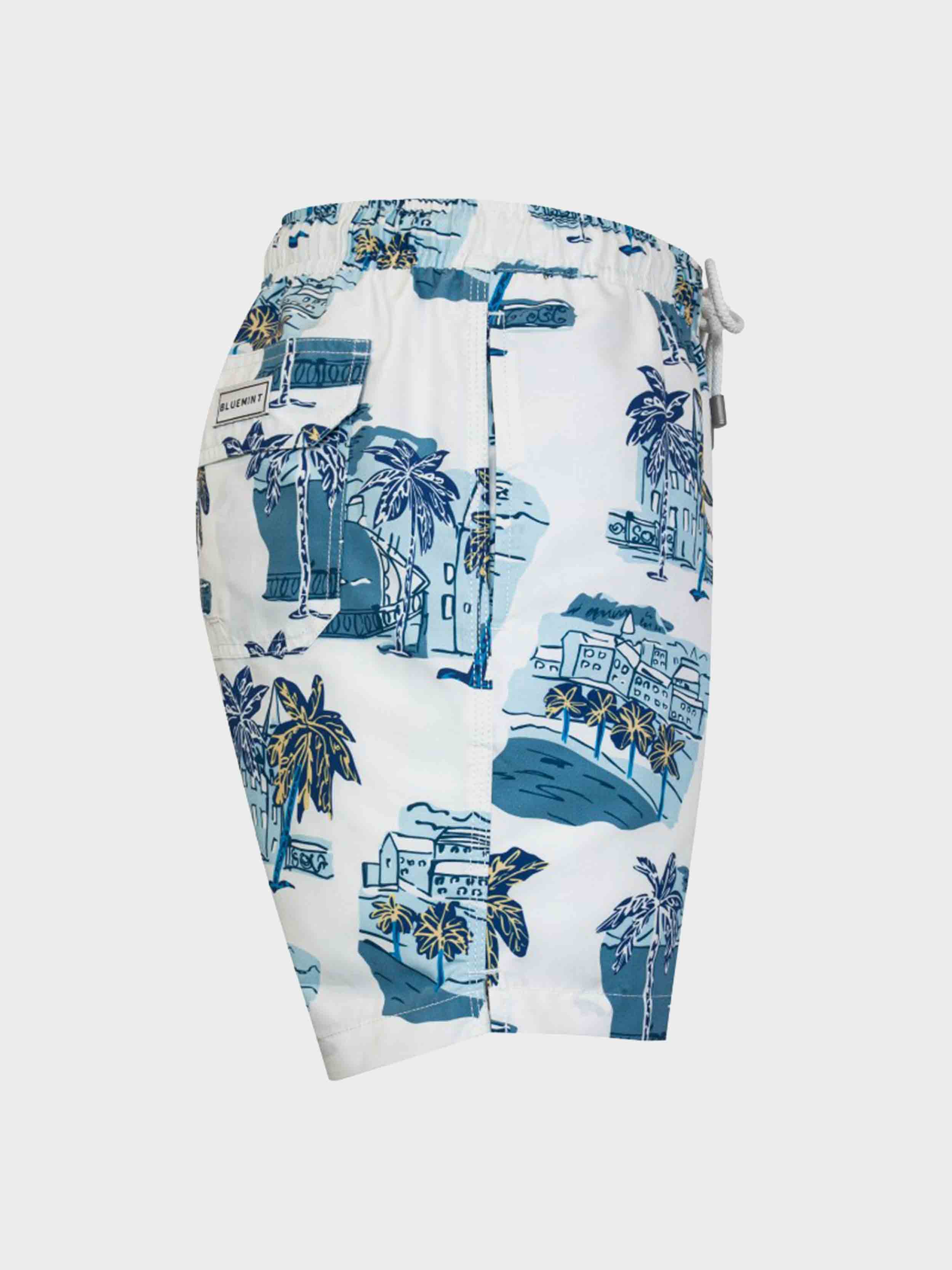 White / Blue