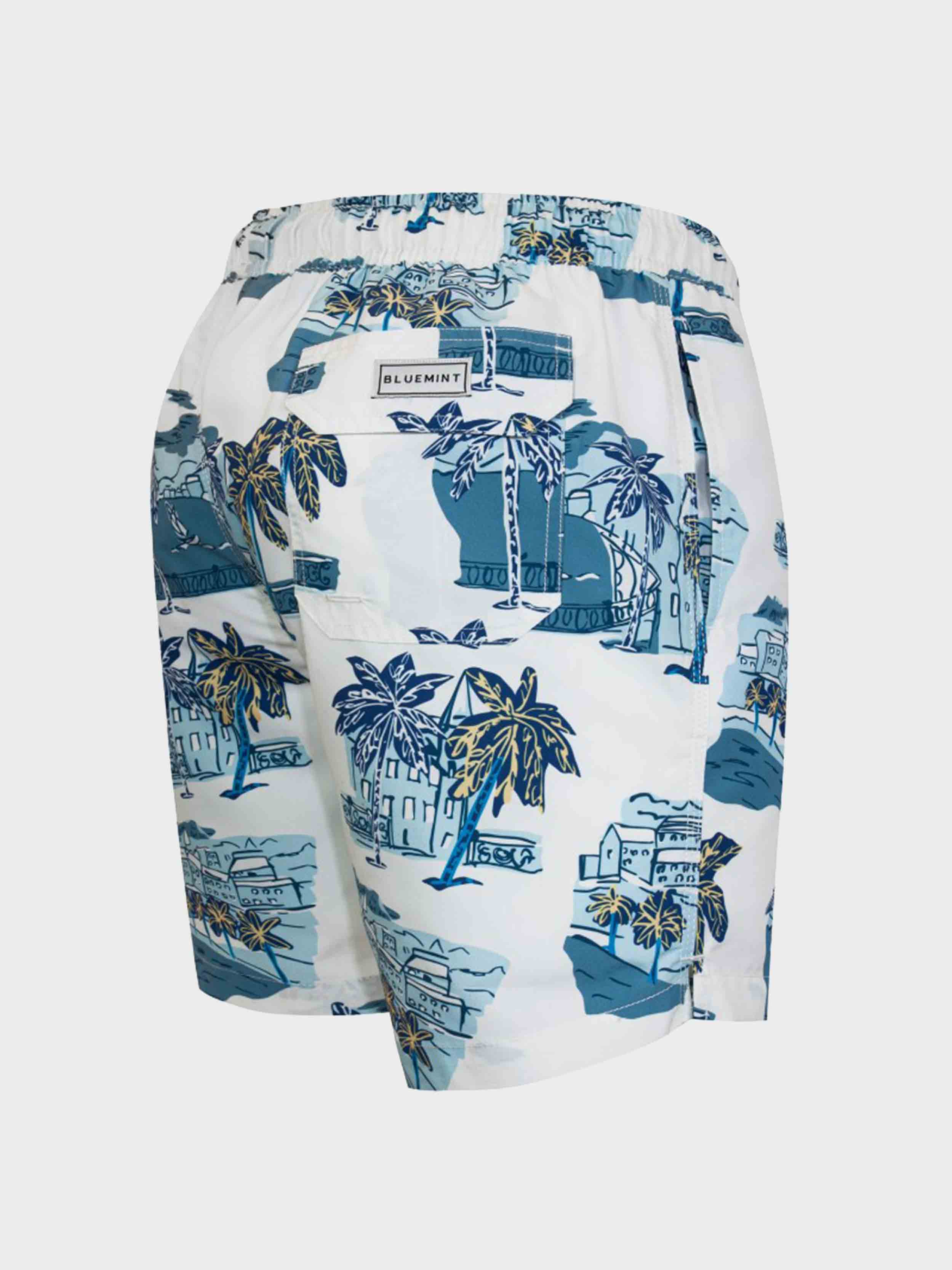 White / Blue
