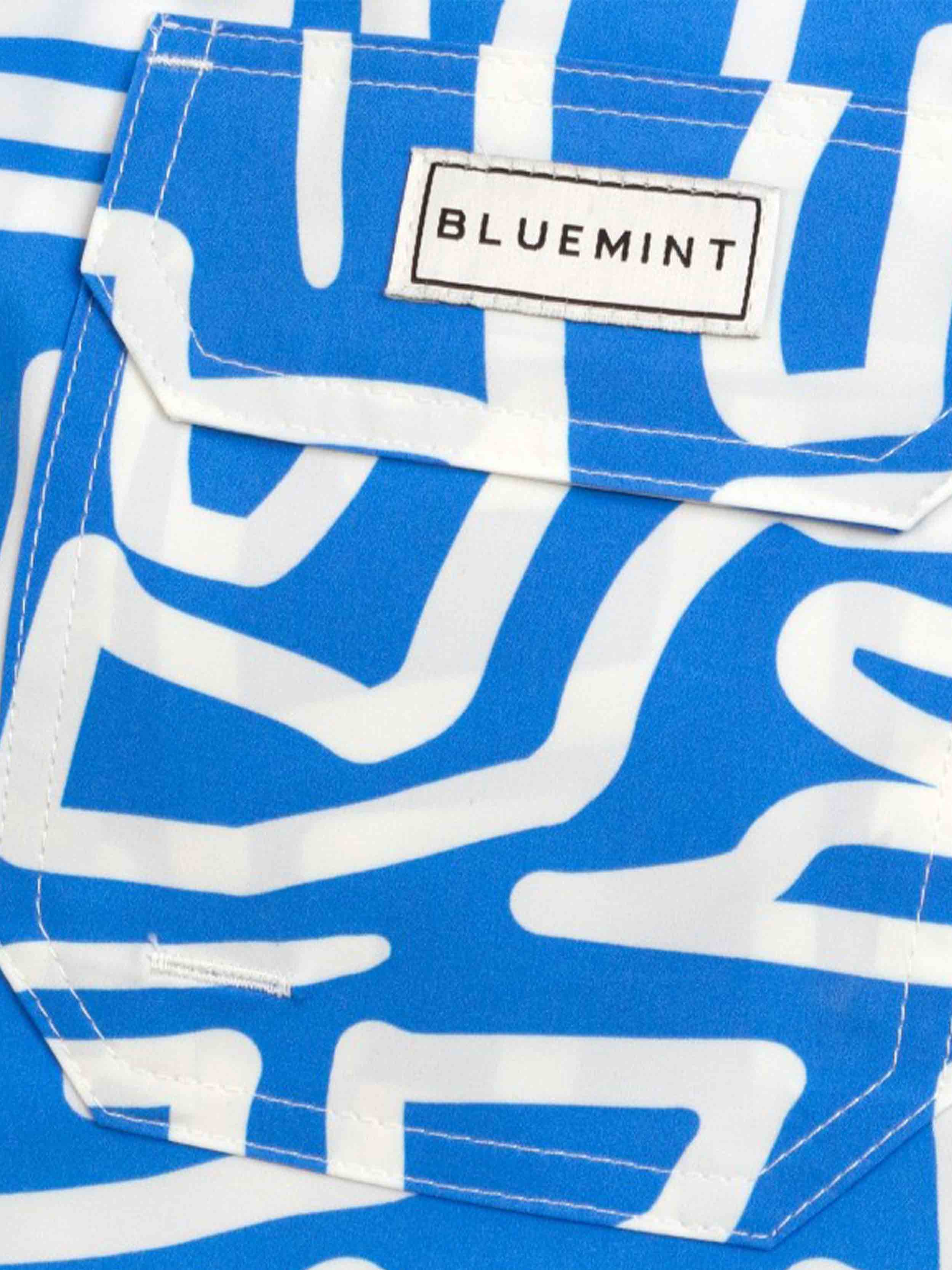 Blue/White